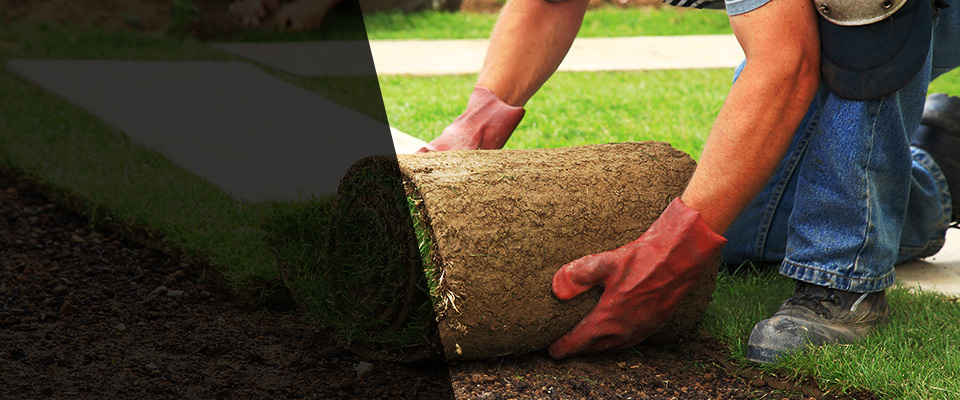 Levittown Landscapers